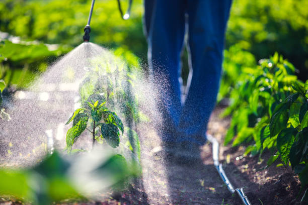 Pest Control for Warehouses in Newport East, RI